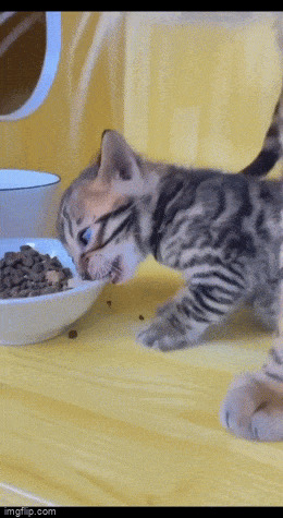      , , , 