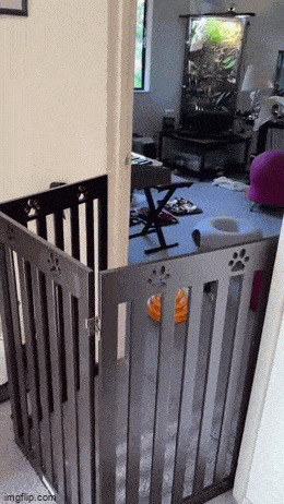      , , , 