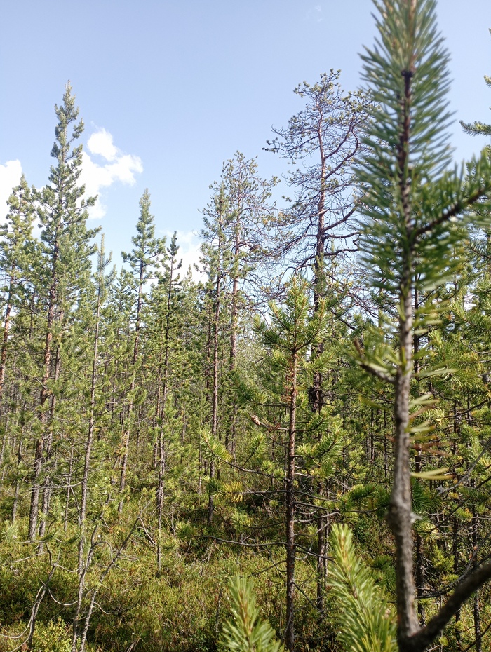 �� ���� ���� �� ������ ���� ���