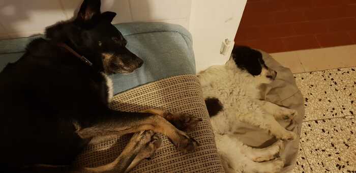 ������. ���� ������