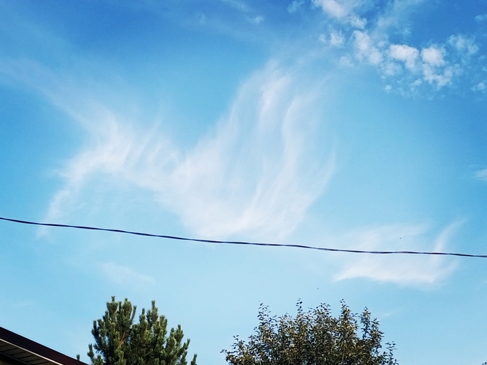 А у нас тут драконы летают)