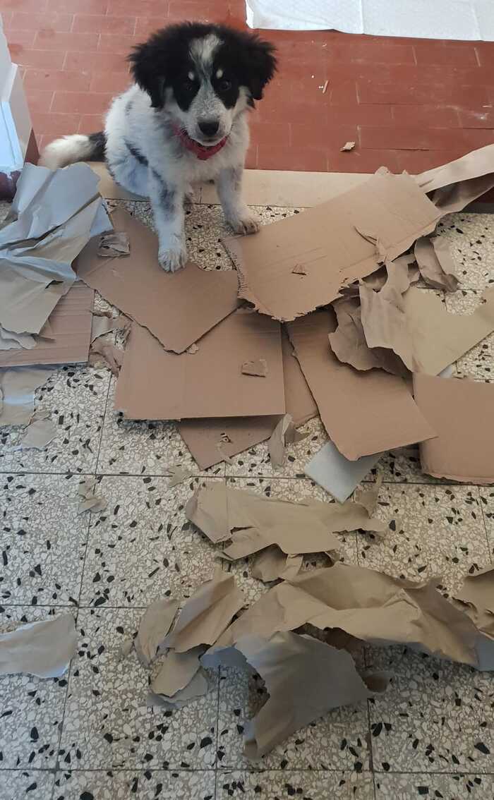  ... , , ,  ,  