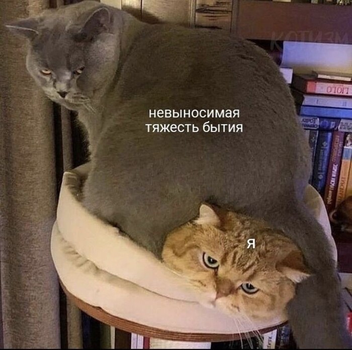     , ,   