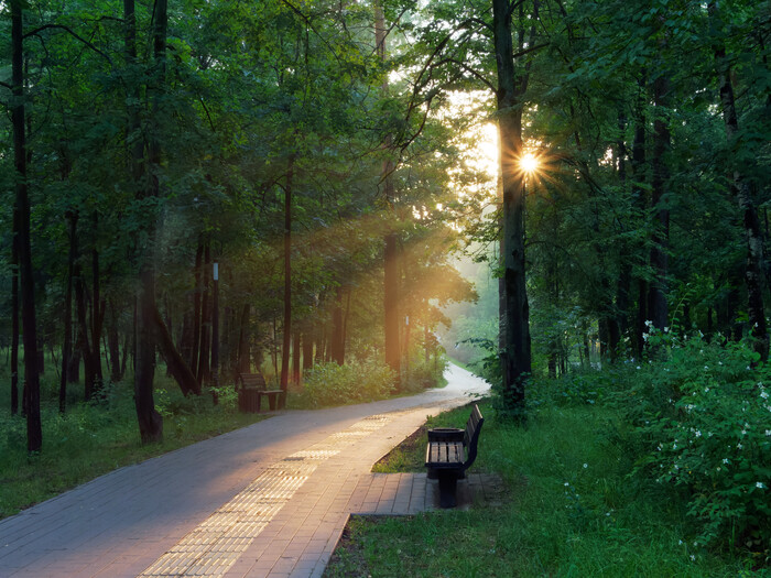 Закат в Малаховском парке