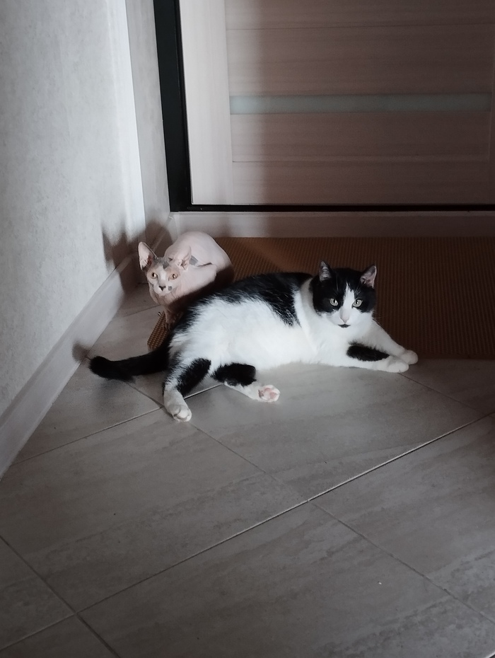   , ,  ,  