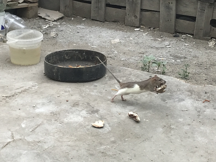 ��-�� ��, ����� �������!