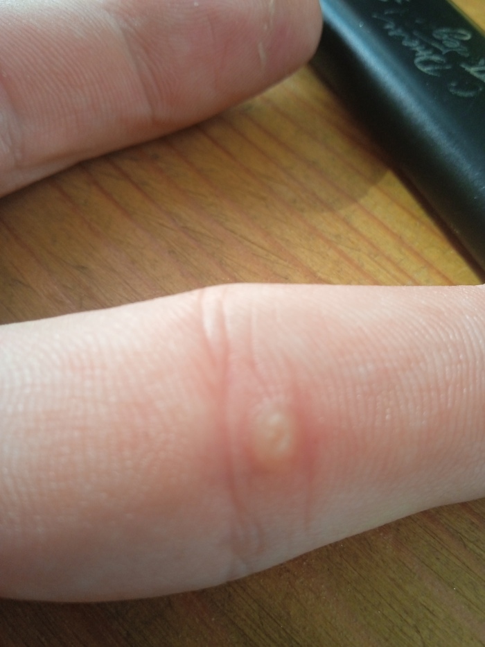 ���-�� ������� �� ������,��� �� ����� ����������?   ��.����� �� ������� � ��� � ���� ��� ���10.������� ����� �� ������ ������ ��������