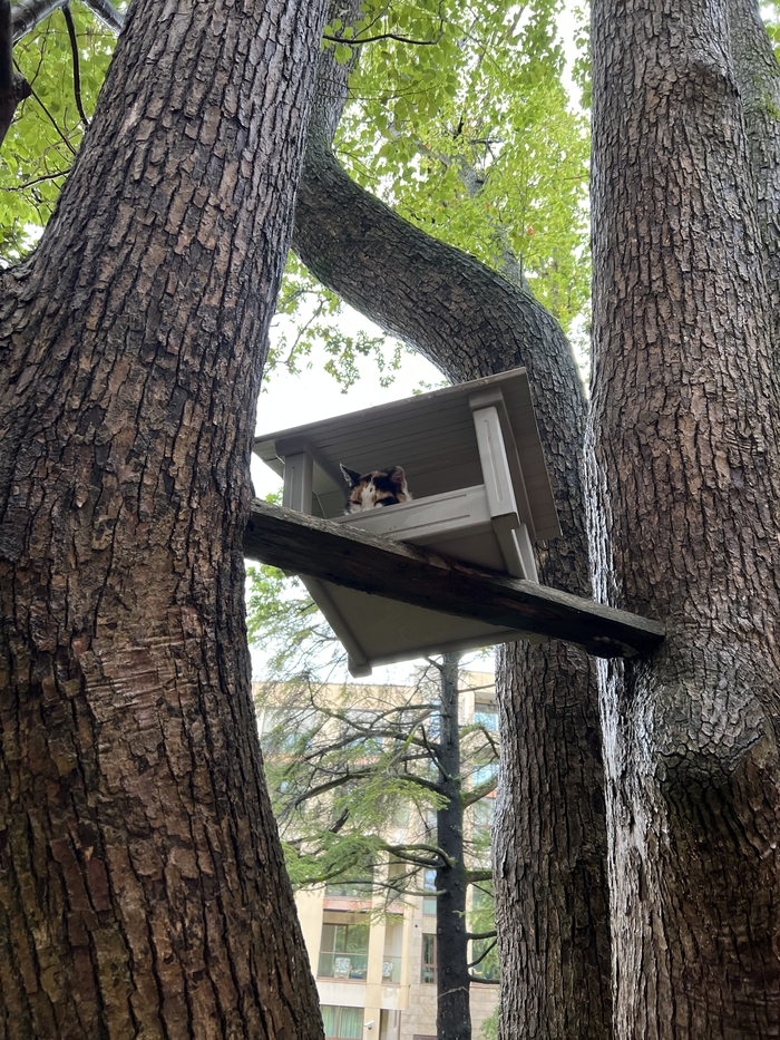 �� �������� ��� �����