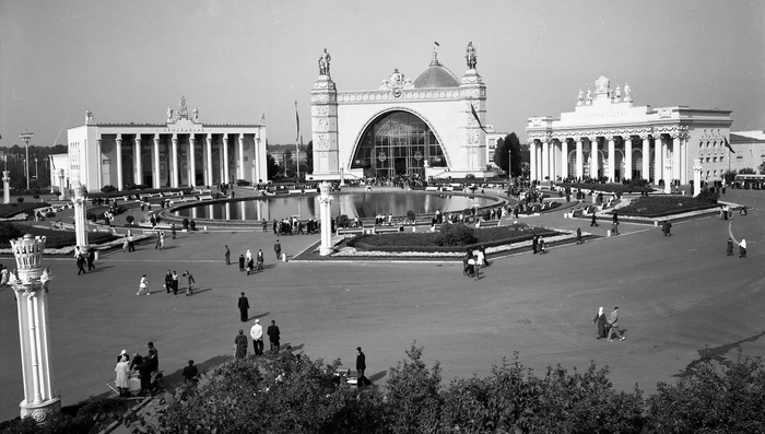 1953 -1954 гг. Воспоминания о жизни в СССР. 4-й курс, крым, работа на ВСХВ (ВДНХ) Прошлое, Память, Учеба, Всхв, 50-е, Выставка, Воспоминания, СССР, Целина, Крым, Бокс, Длиннопост