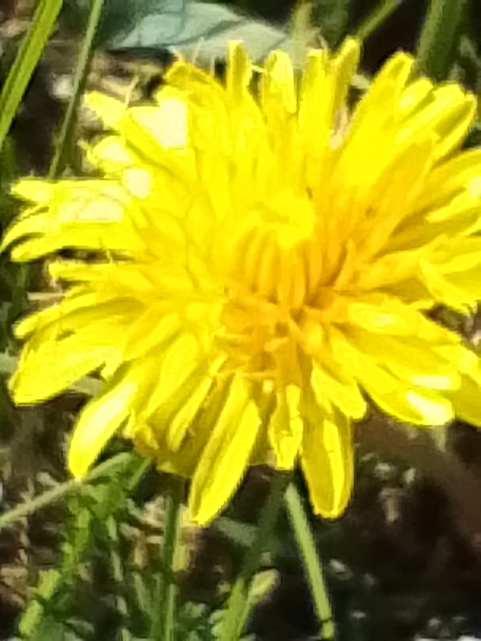 � ����� ��������