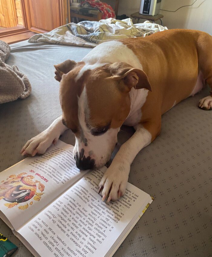 ������, ��� ��������� ���������