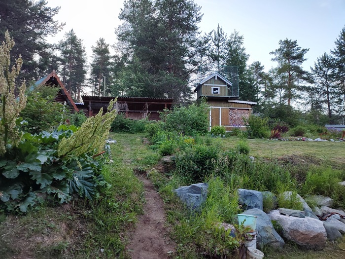 Как я к дому, где Любовь и голуби снимали, ездил Путешествия, Природа, Любовь и голуби, Фильмы, Длиннопост