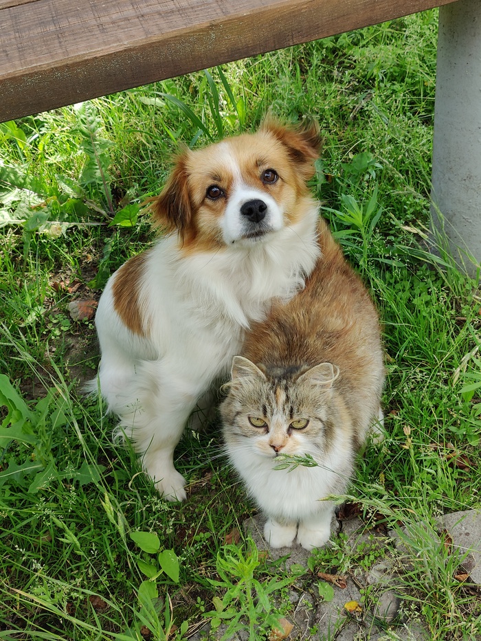 ������ � �����