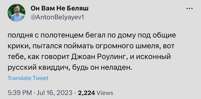 Русский квиддич