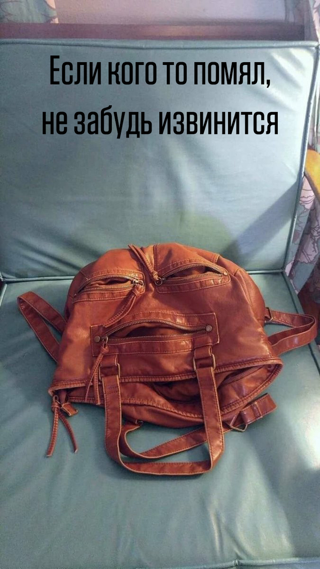 Не забудь извинится | Пикабу