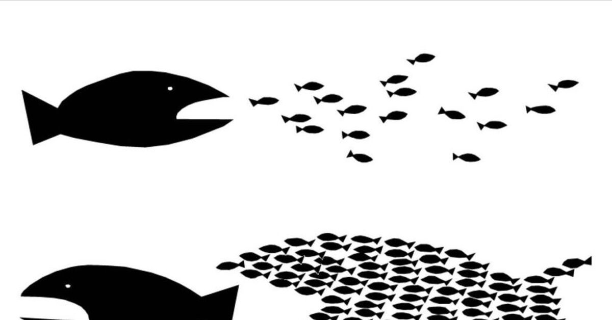 Личная безопасность | Пикабу