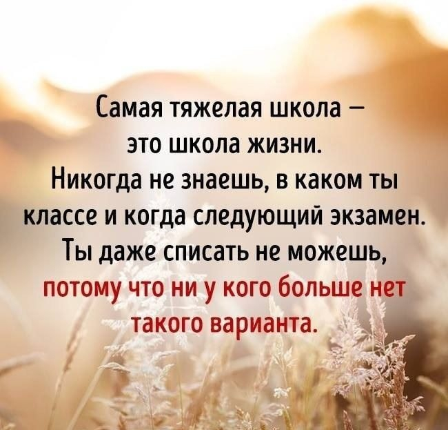 Школа жизни | Пикабу