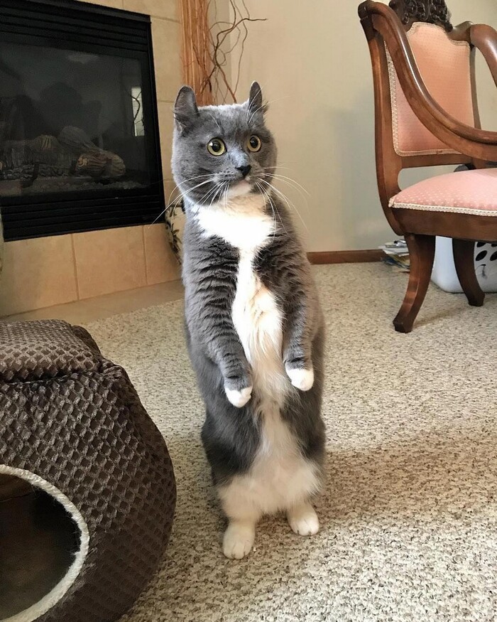 По стойке смирно