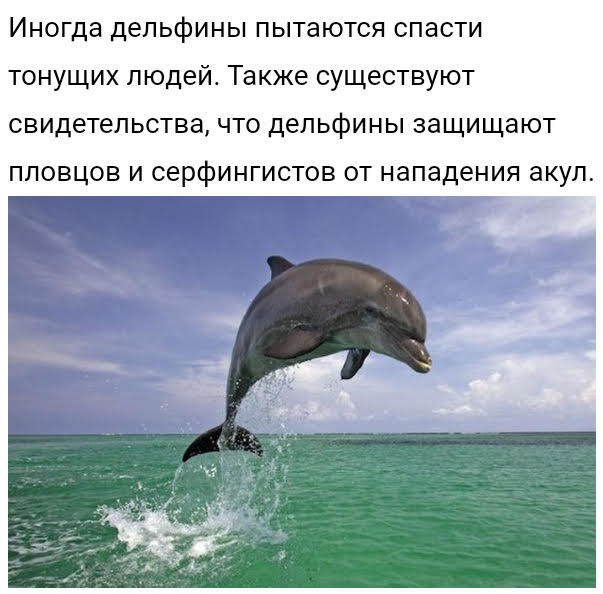 Интересные факты