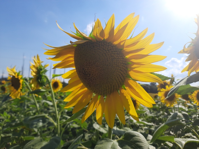 �� ����� ����� ������� ����������