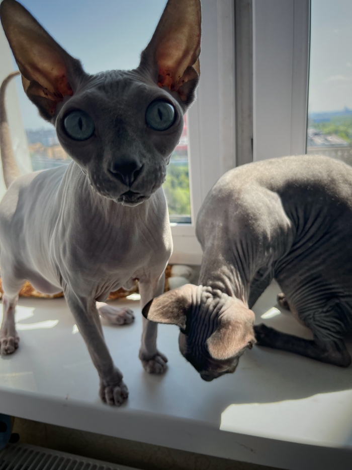 � ���� ����� �����������, ������. �� ��� ������ ������ ������, � �� ���� ����� ����� ����� �������, ���?