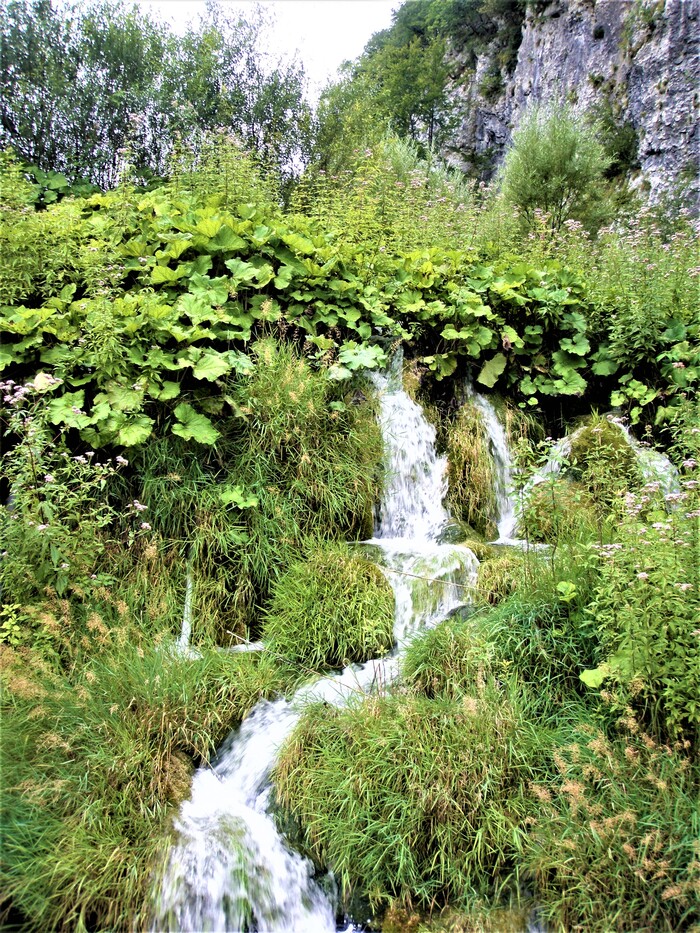 Шумят ручьи... | Пикабу