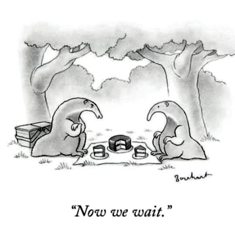 � ������ �� ��������