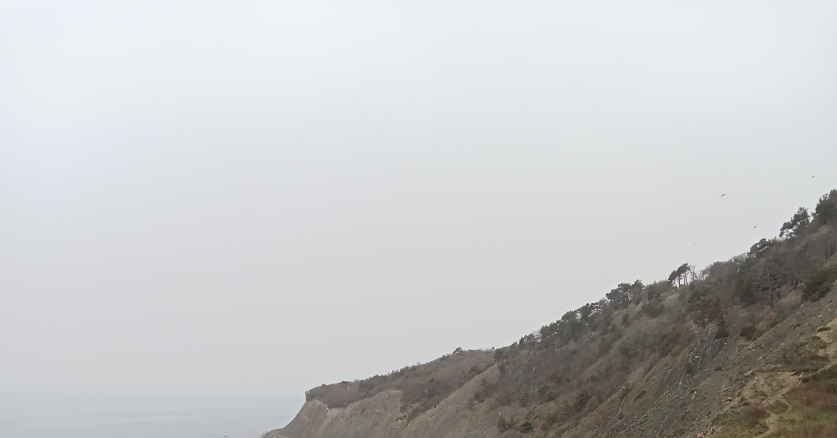 Много лет | Пикабу