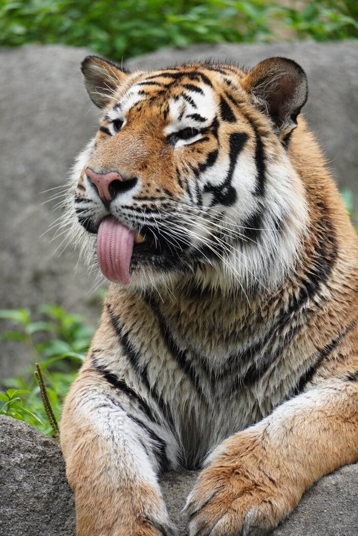 Бе-е-е-е-е ^_^