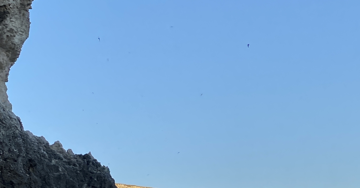 Автопутешествие в Абхазию 1 августа | Пикабу