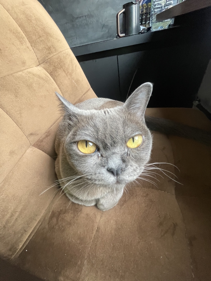   ? , , ,  , ,  ,  