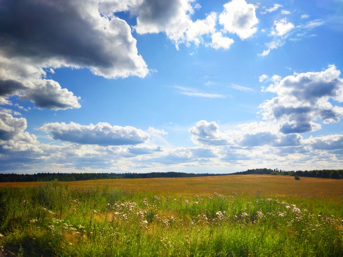 Простор | Пикабу