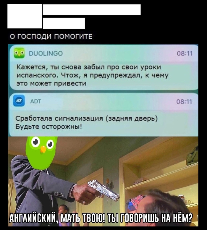  ,   ,  ,  , Duolingo, , 