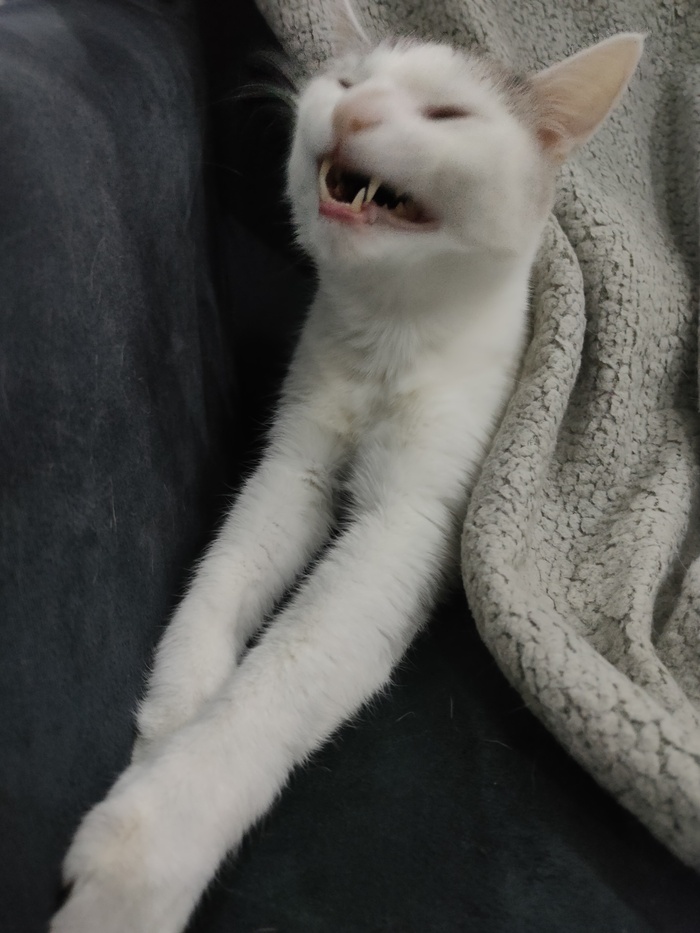  , , , , , ,  ,  , 