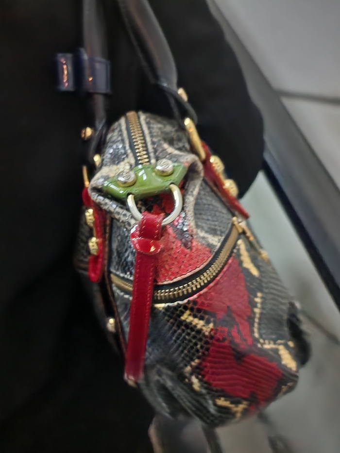 Змея в общественном транспорте