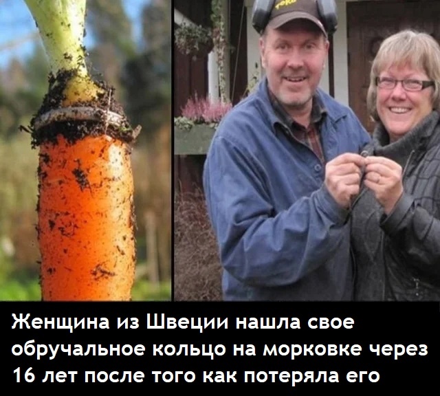 Кольцо всегда стремится вернуться к своему Хозяину