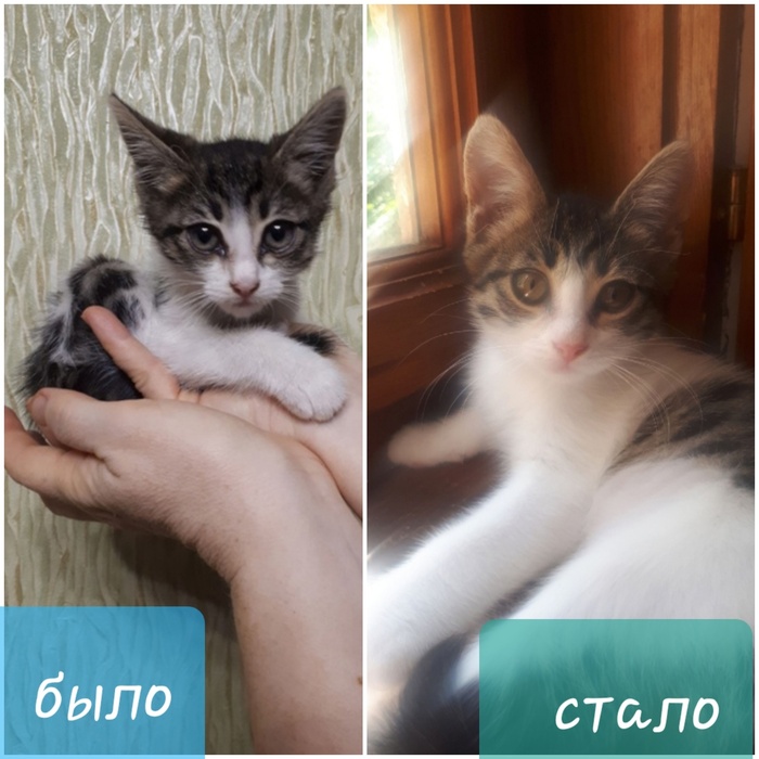 Разница 19 дней. очередная подобраша