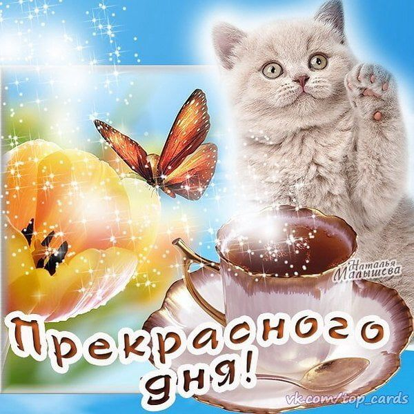 Ответ на пост «Поднимите в топ»