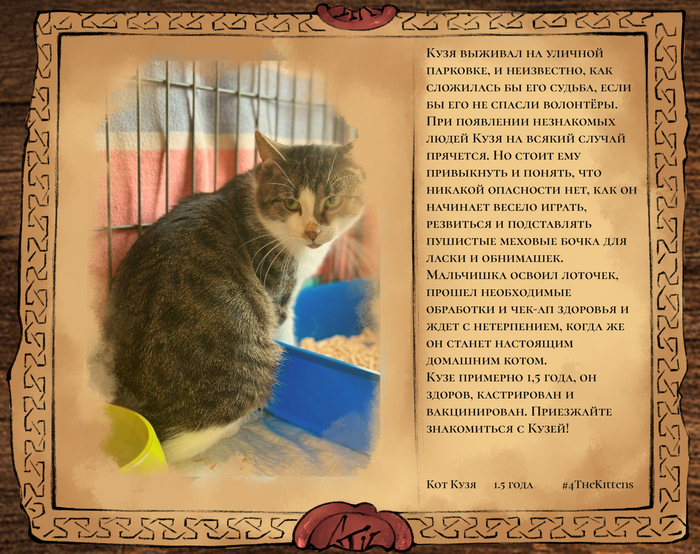 Кузя, примерно полтора года.