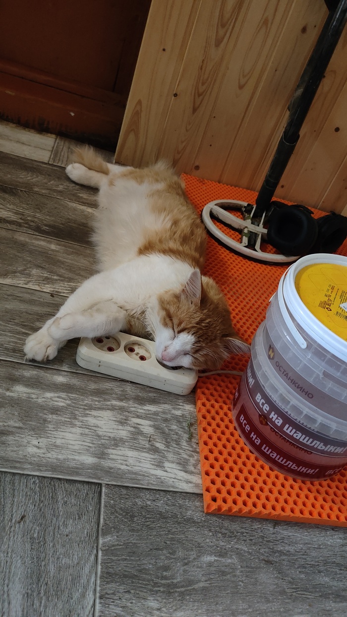 Кошичкина энергосберегающая компания