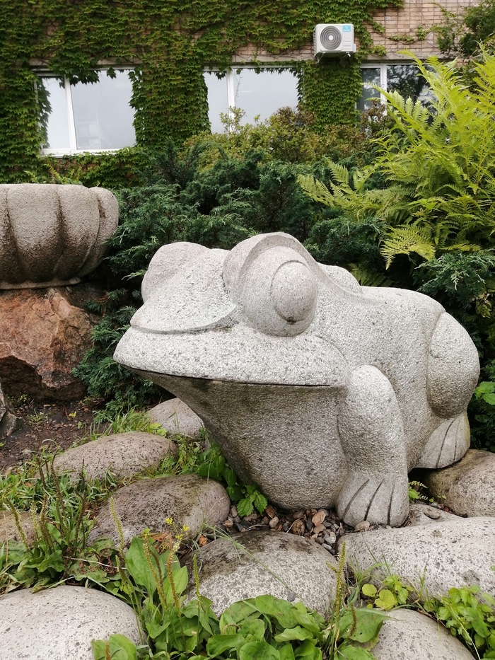 Сегодня среда, мои Чюваки