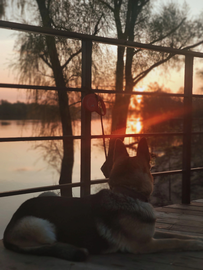 ������� � ������� ���������