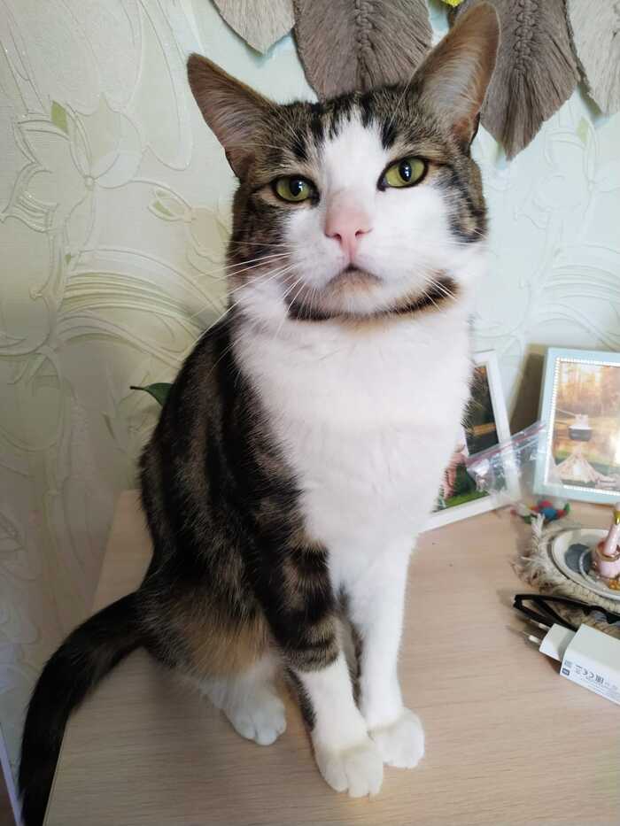 ����� ������ ������ #1