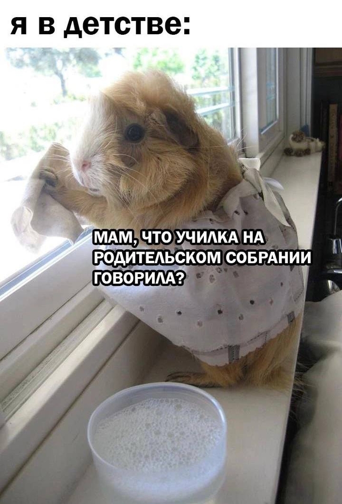 Родительское собрание