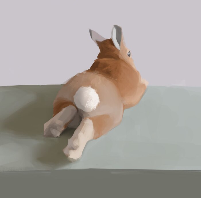  ,  , 2D, 