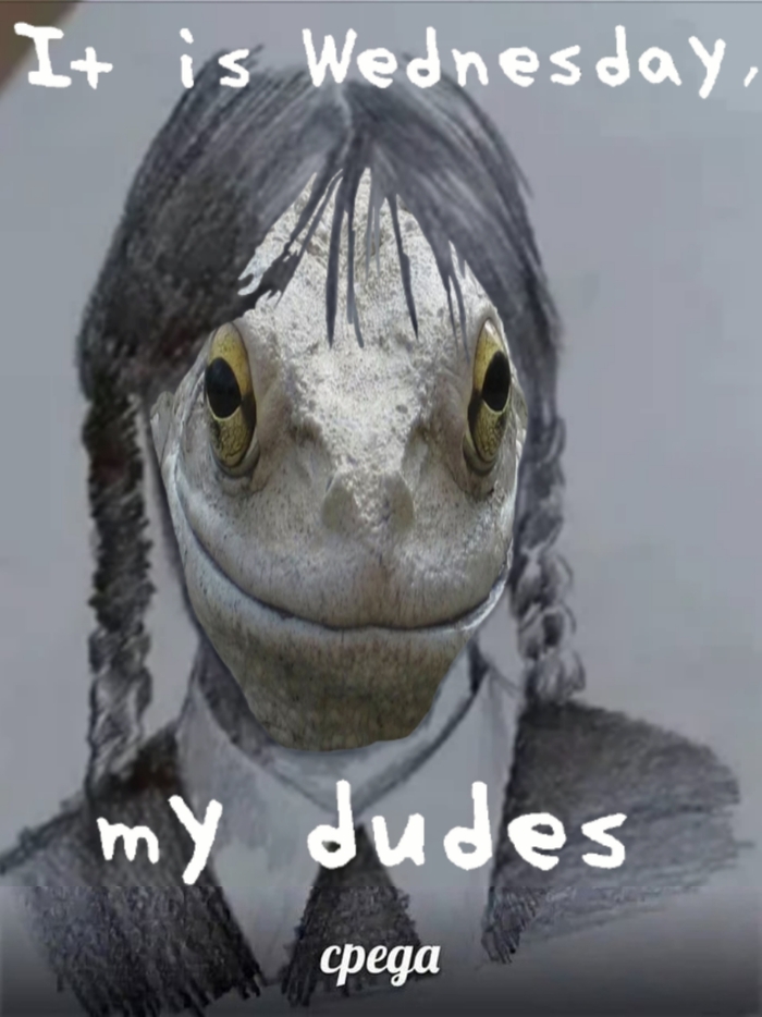 Молодняк изучает культовые мемы. Очень надеюсь, что эту шутку ещё не делали до меня. Со средой, вас, чюваки!