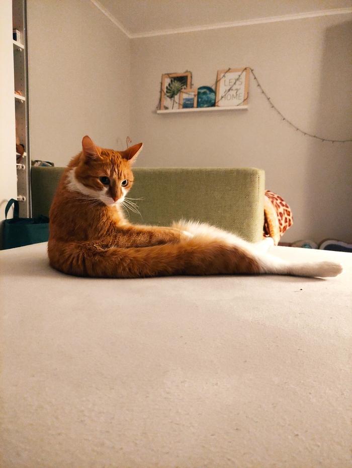 ������ �������