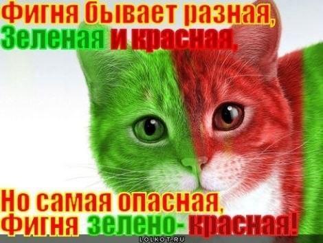 �����-�� x���� ��� ������