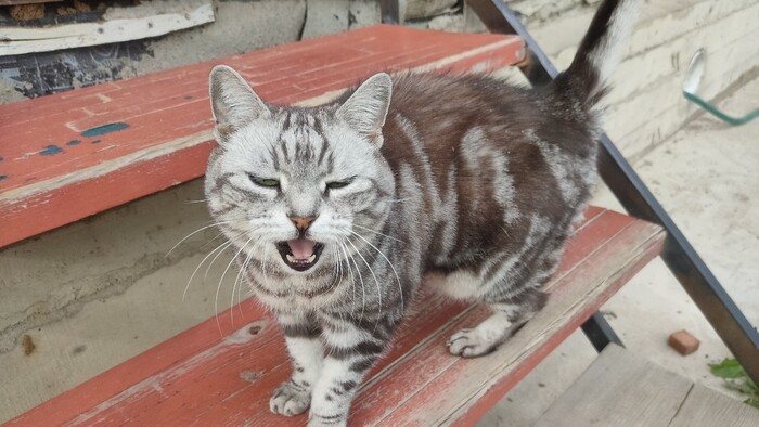 Я бережливый | Пикабу