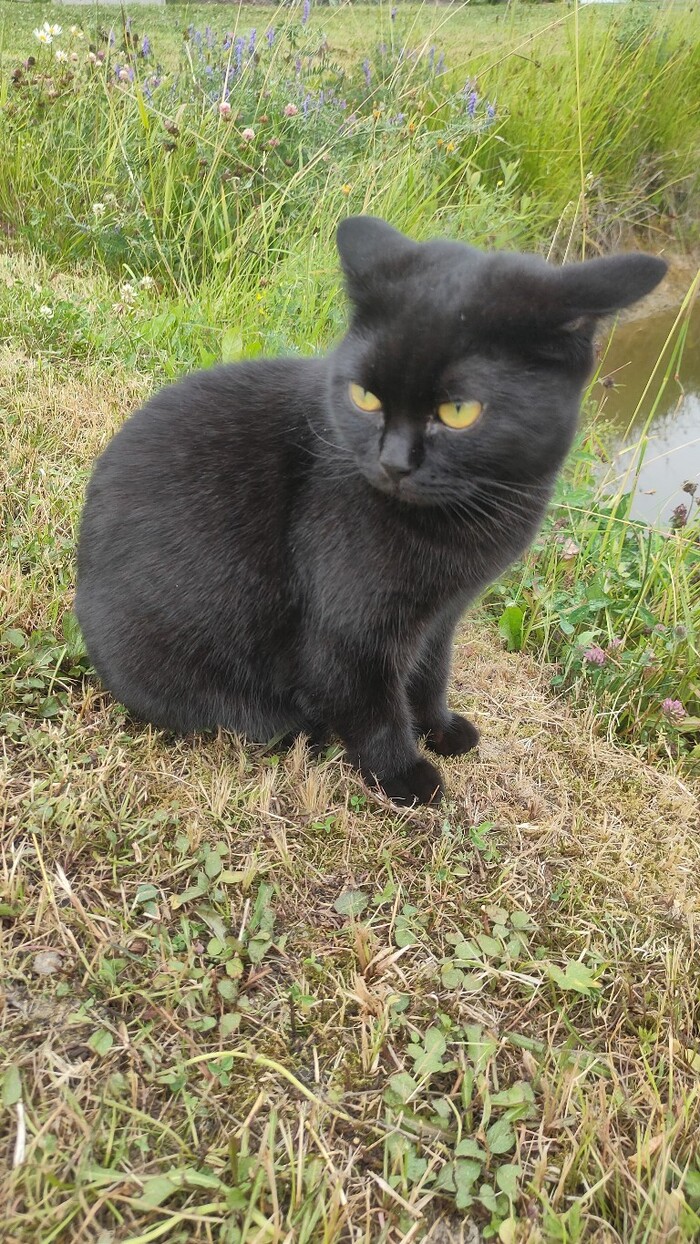 Я бережливый | Пикабу